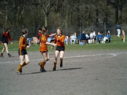 0DIA 1986 RAVA C1